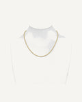 Former on-model view — 14K Yellow Gold 2.0mm  Diamond Cut Round Rope Chain