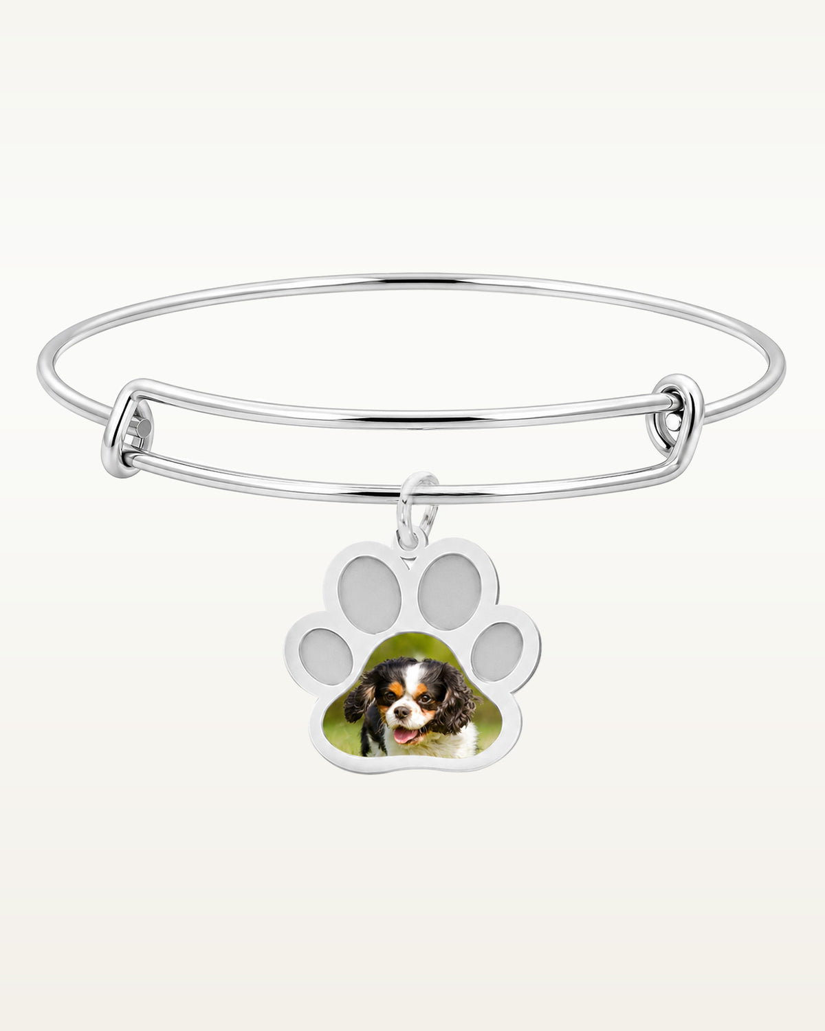Dog Paw Print Photo Charm Expandable Bracelet