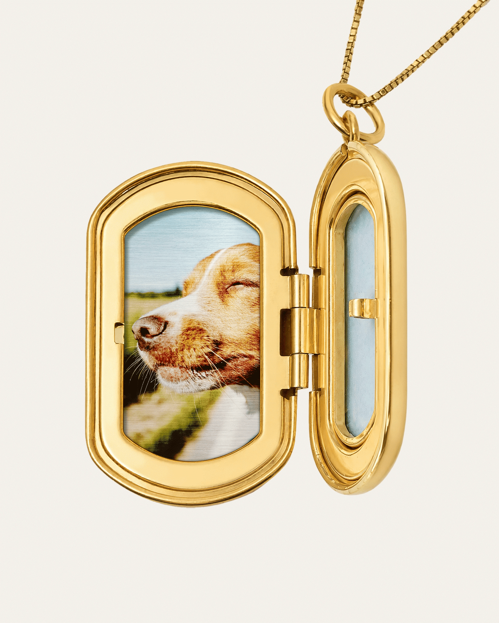 The locket shown open