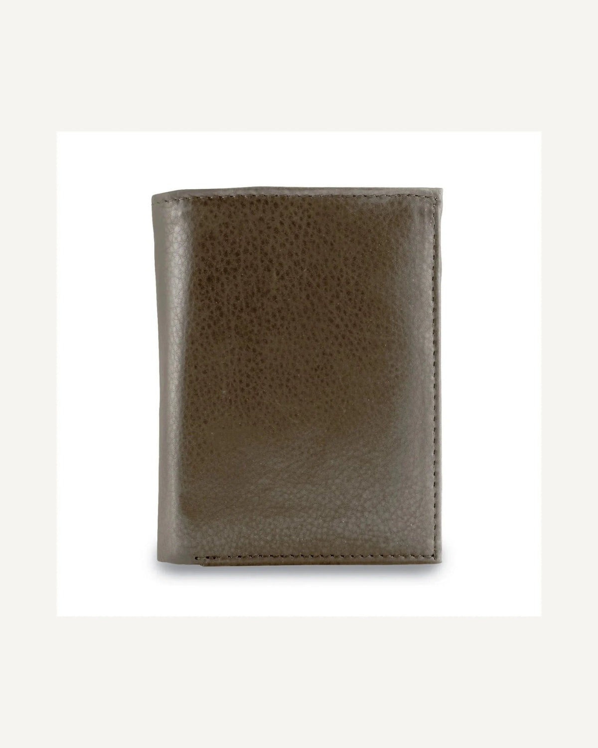 QGold source GM17785.JPG: Image 2 of GM17785
