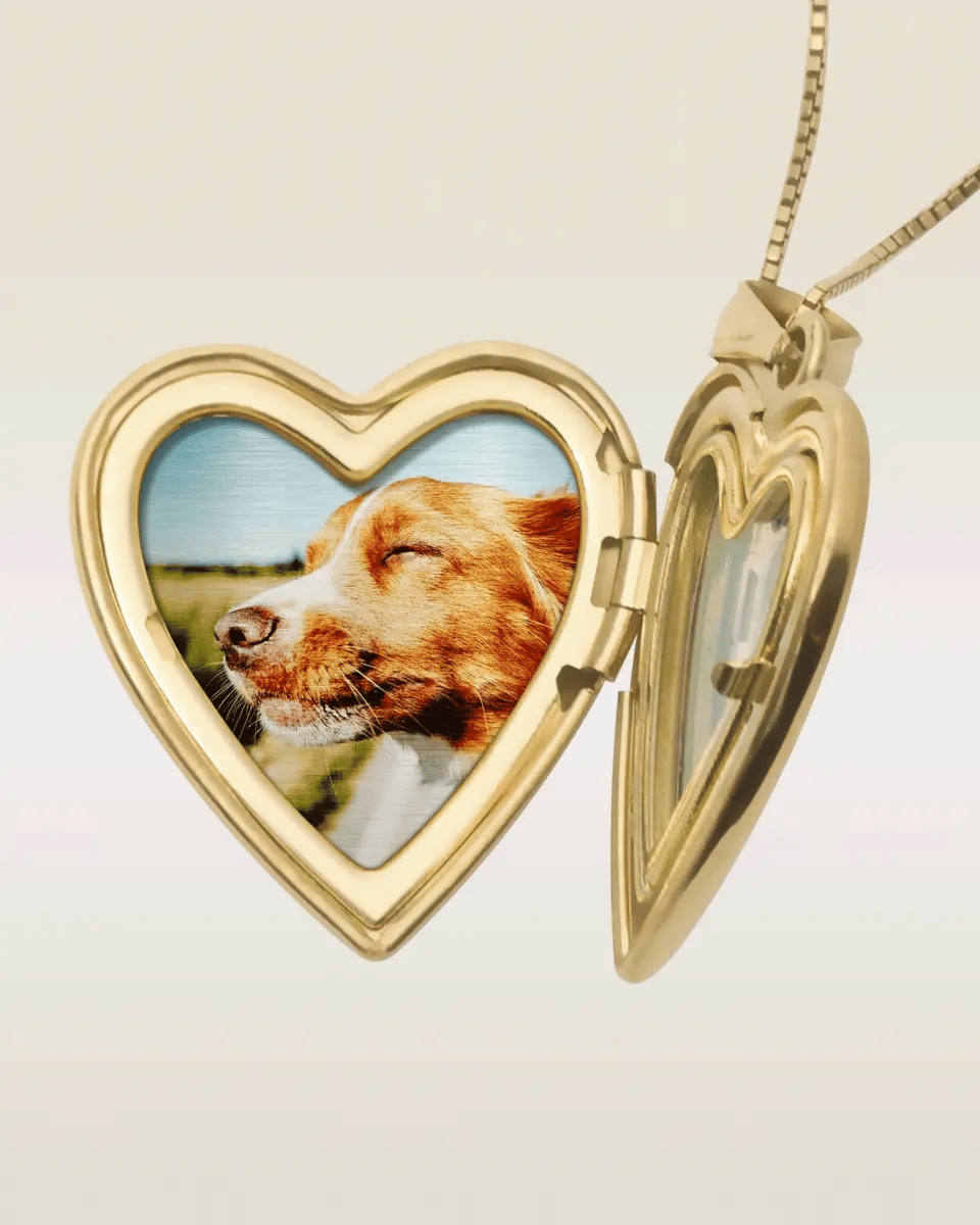 The locket shown open