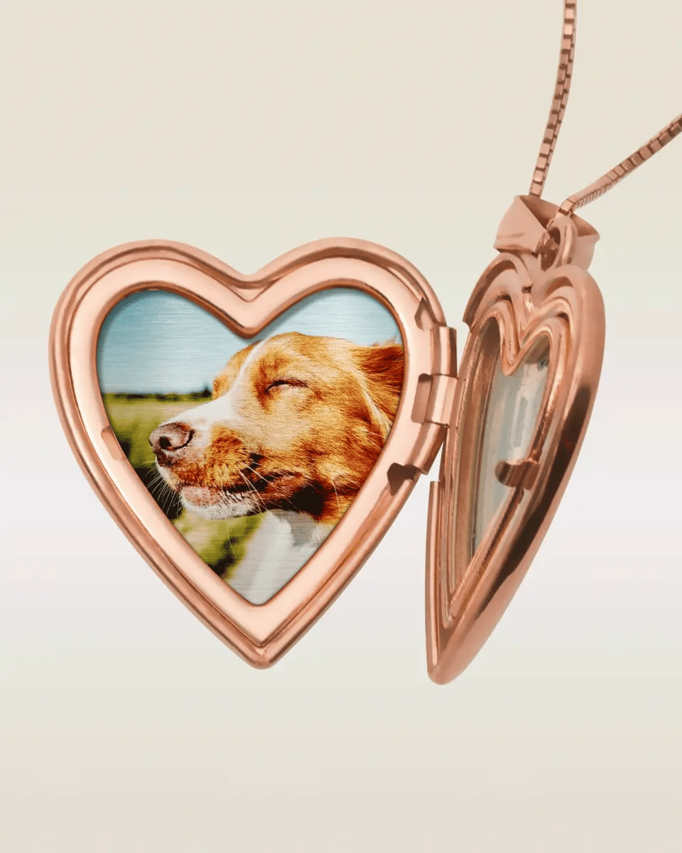 The locket shown open