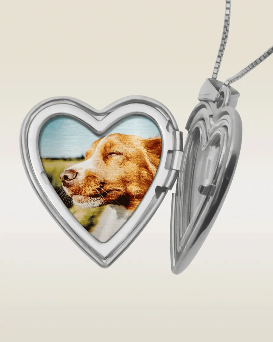 The locket shown open