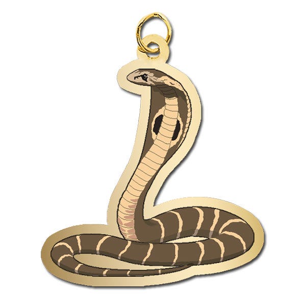 Snake - Cobra Charm