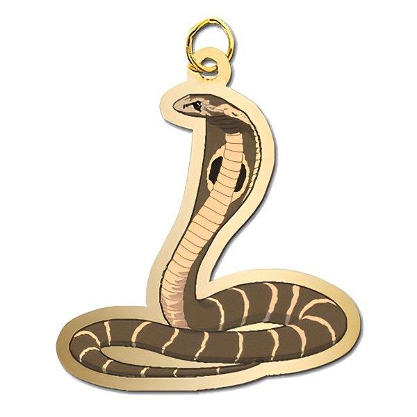 Snake - Cobra Charm