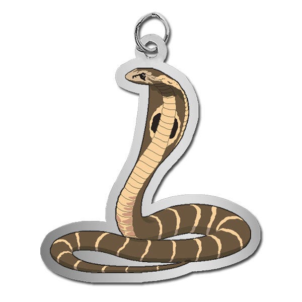 Snake - Cobra Charm