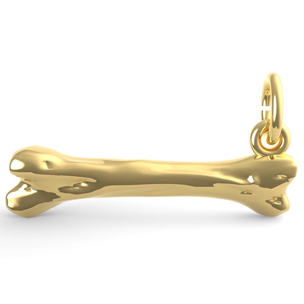 Dog Bone Charm