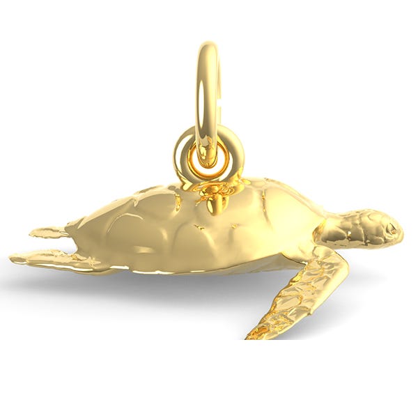 Sea Turtle
