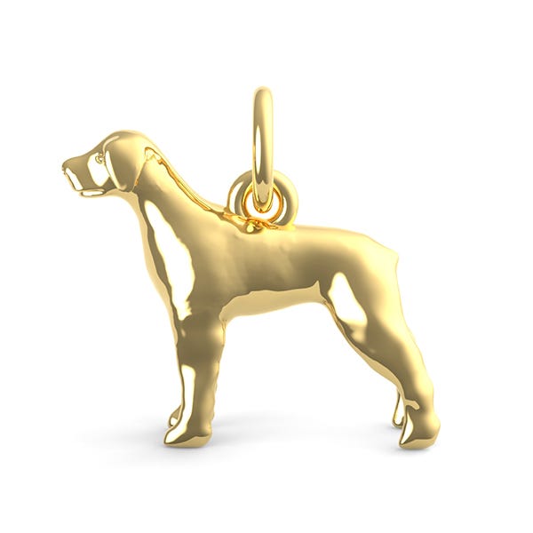 Rottweiler Dog Charm
