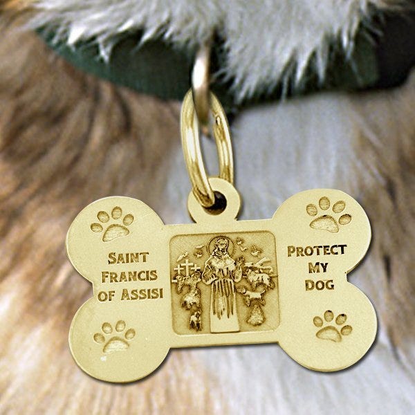 Saint Francis of Assisi - "Protect My Dog" Dog Bone Pet Tag