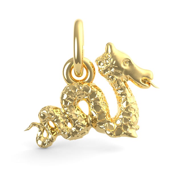 Serpent Dragon Charm