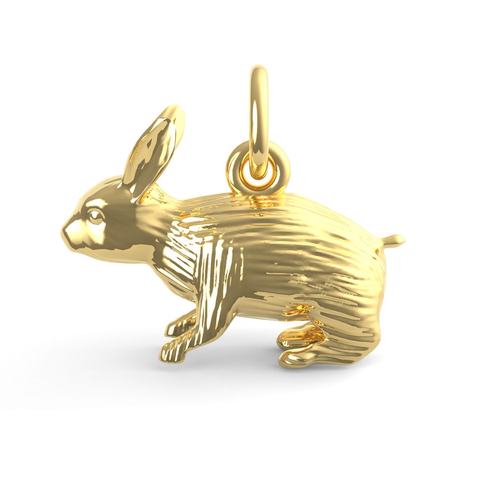 Rabbit Charm