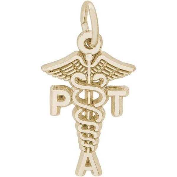 PT Assistant