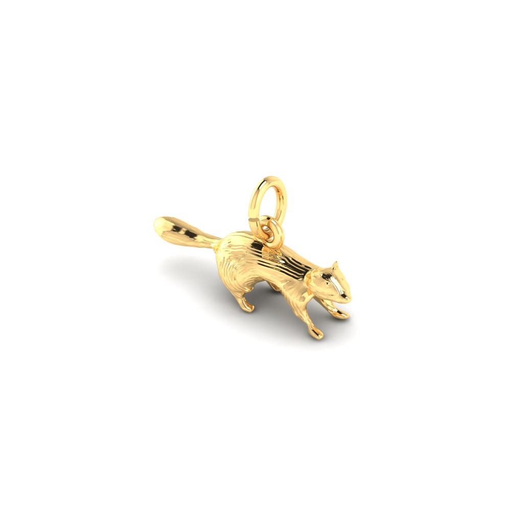 Ferret Charm
