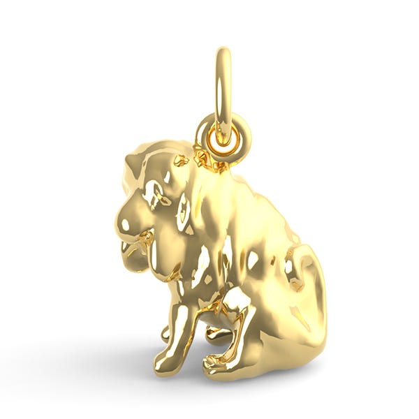 Shar Pei Dog Charm