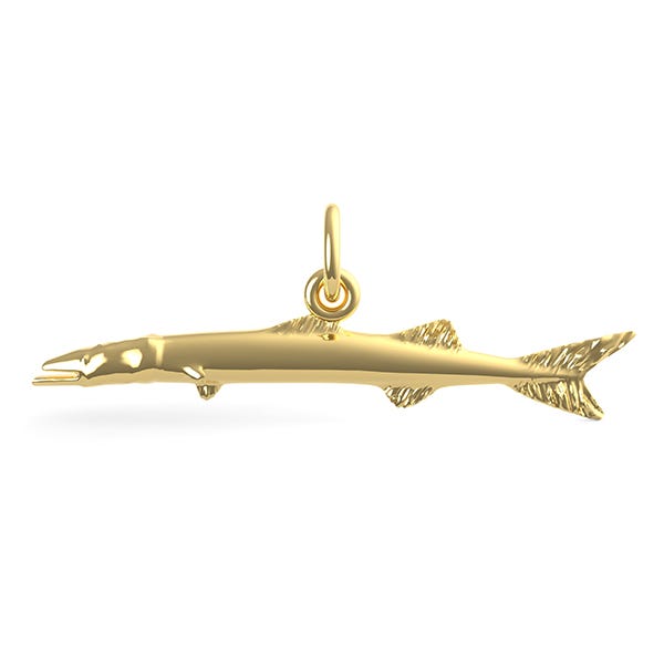 Fish Barracuda