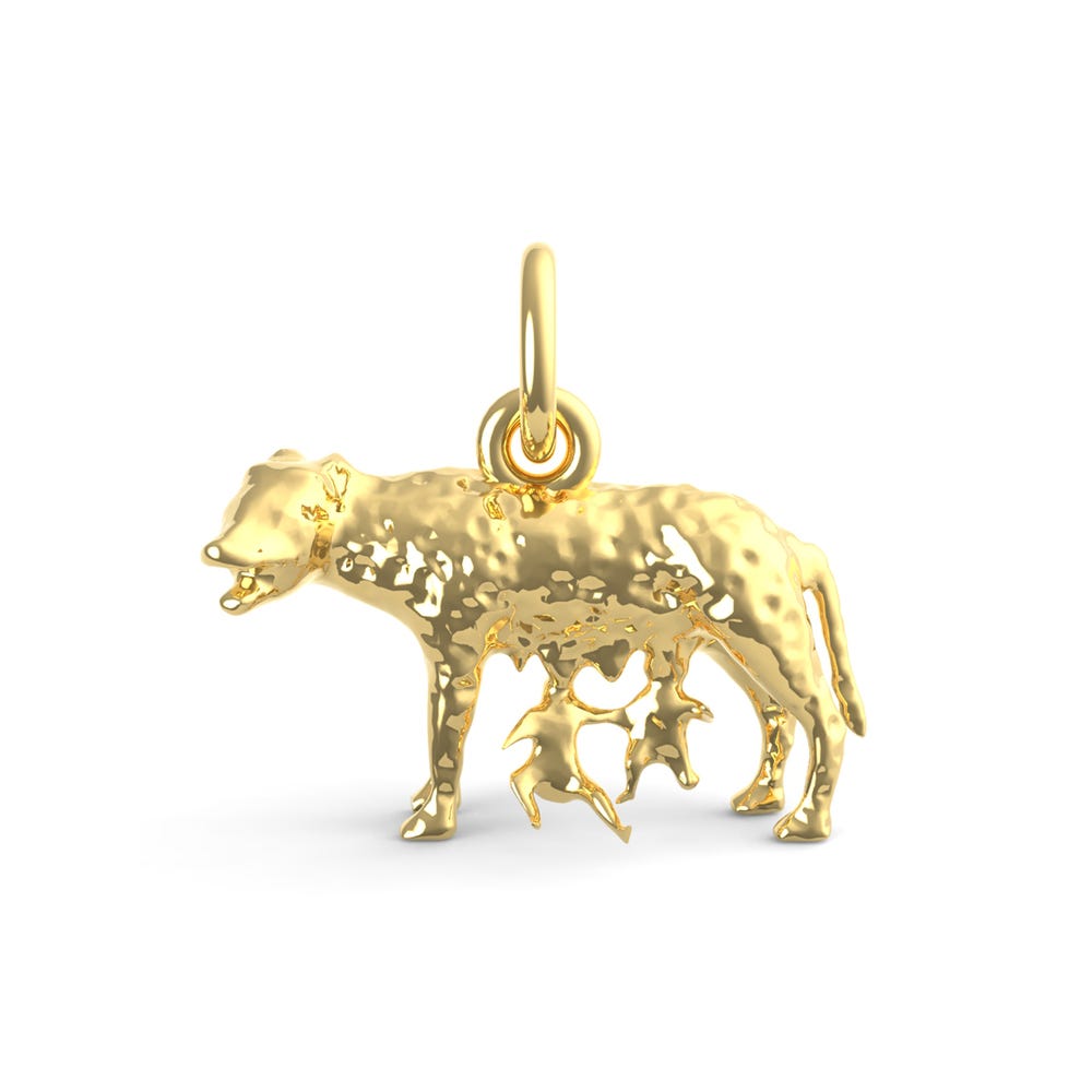 Romulus &' Remus Charm