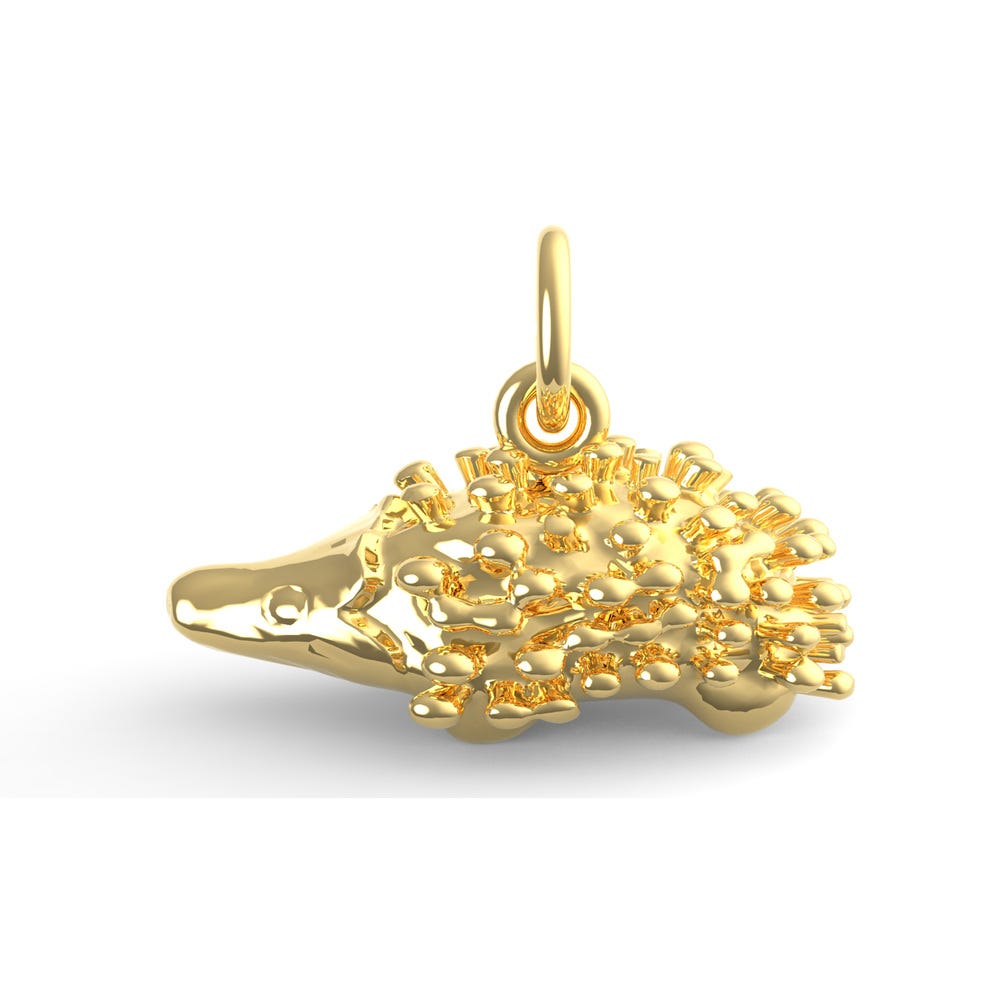 Porcupine Charm