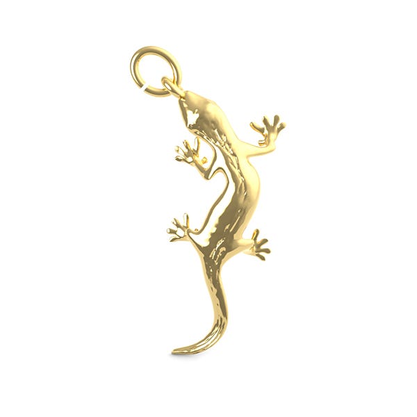 Lizard Charm