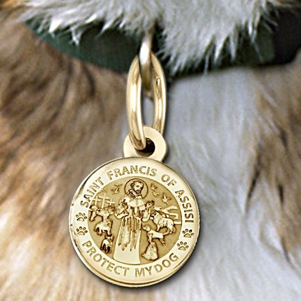 Saint Francis of Assisi "Protect My Dog" Round  Picture Locket