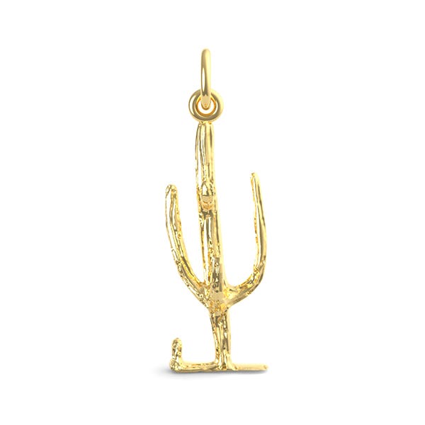 Cactus Charm(1576)
