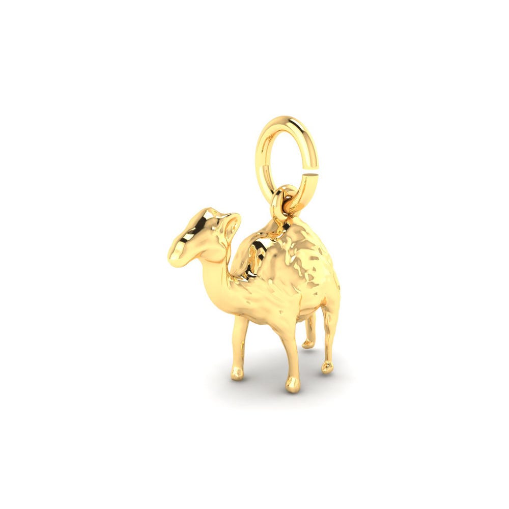 Camel Charm