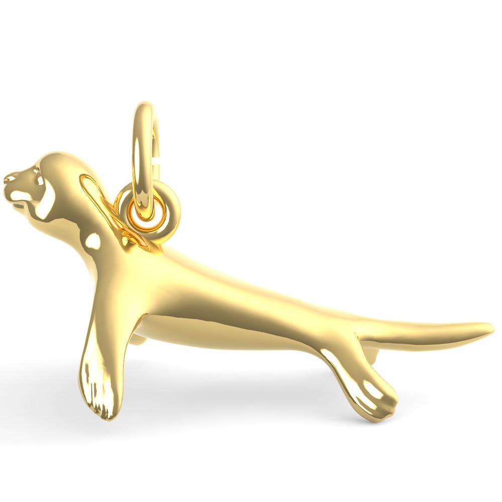 Seal Charm