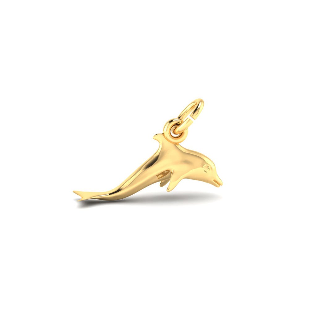 Dolphin Charm