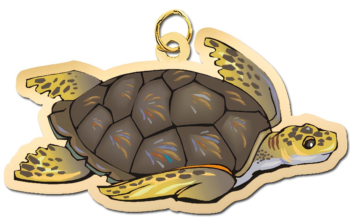 Sea Turtle Charm