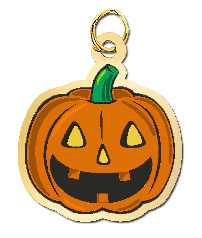 Jack O' Lantern / Pumpkin Charm