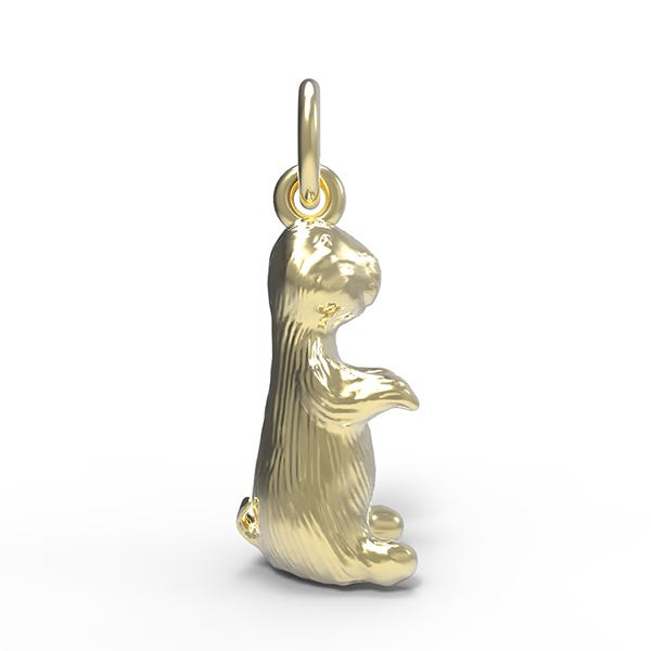 Groundhog Charm