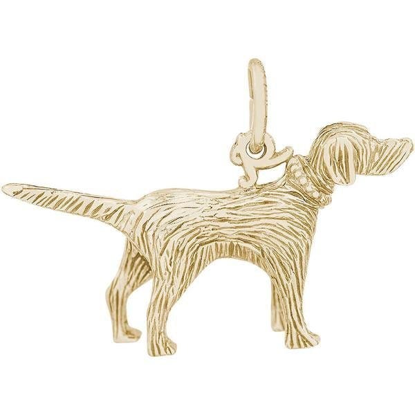 Dog Setter
