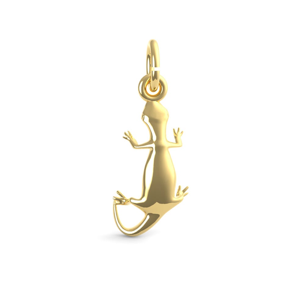 Gecko Charm