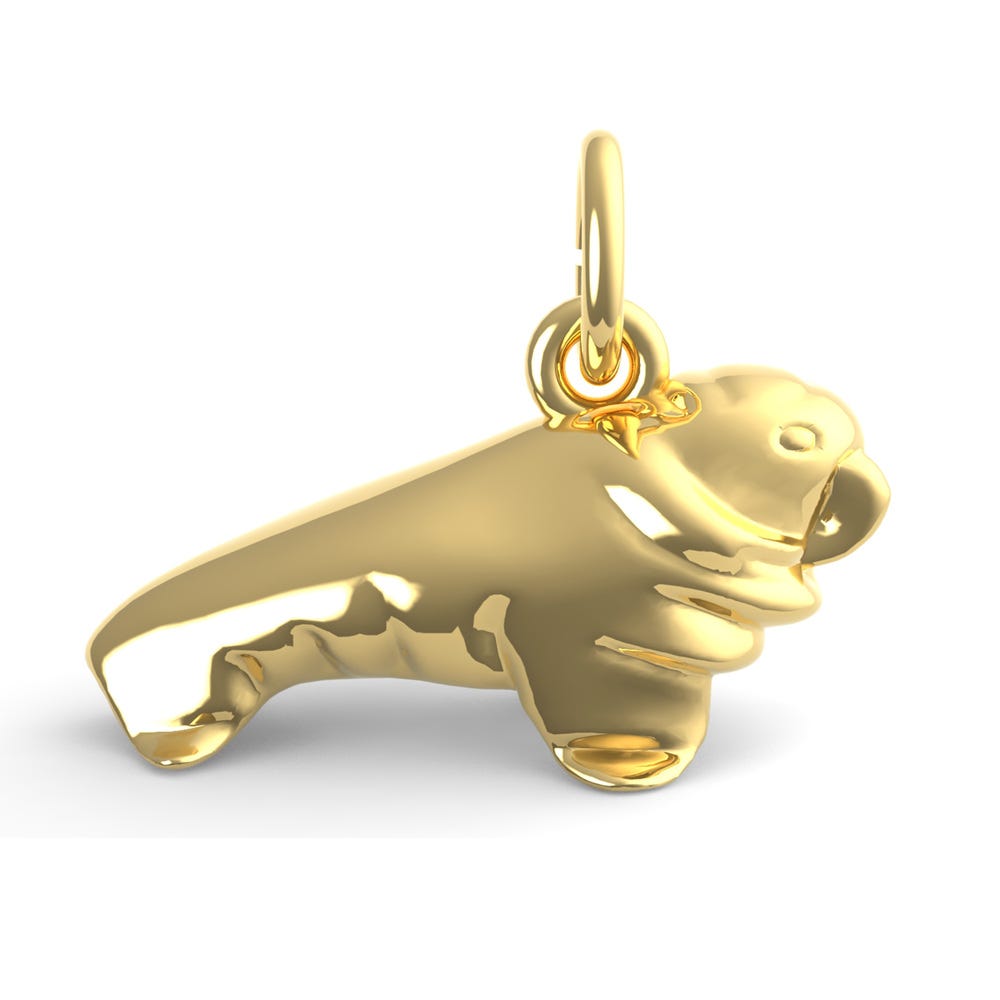 Walrus Charm
