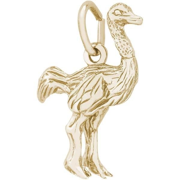 Bird Ostrich