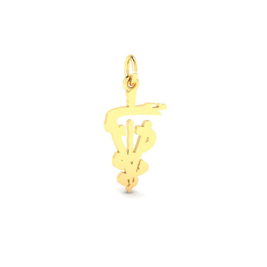 7934-Silver-Veterinarian