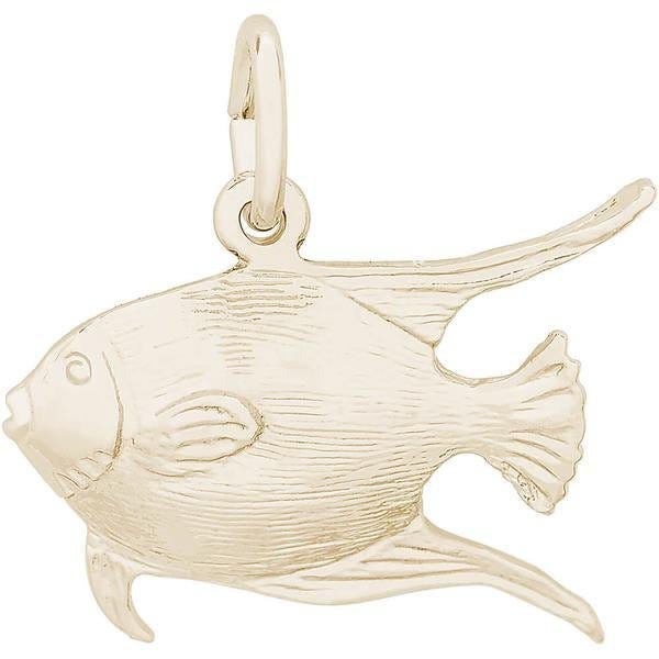 Fish Angelfish
