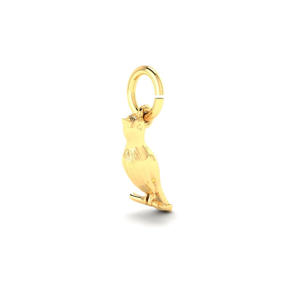 Canary Charm