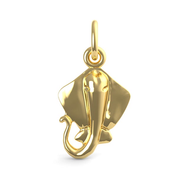 Sting Ray Charm
