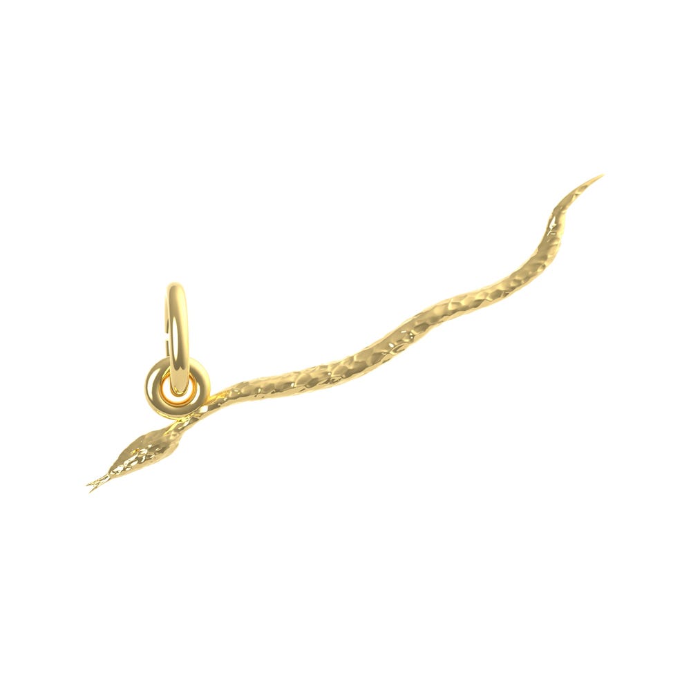 Snake Charm