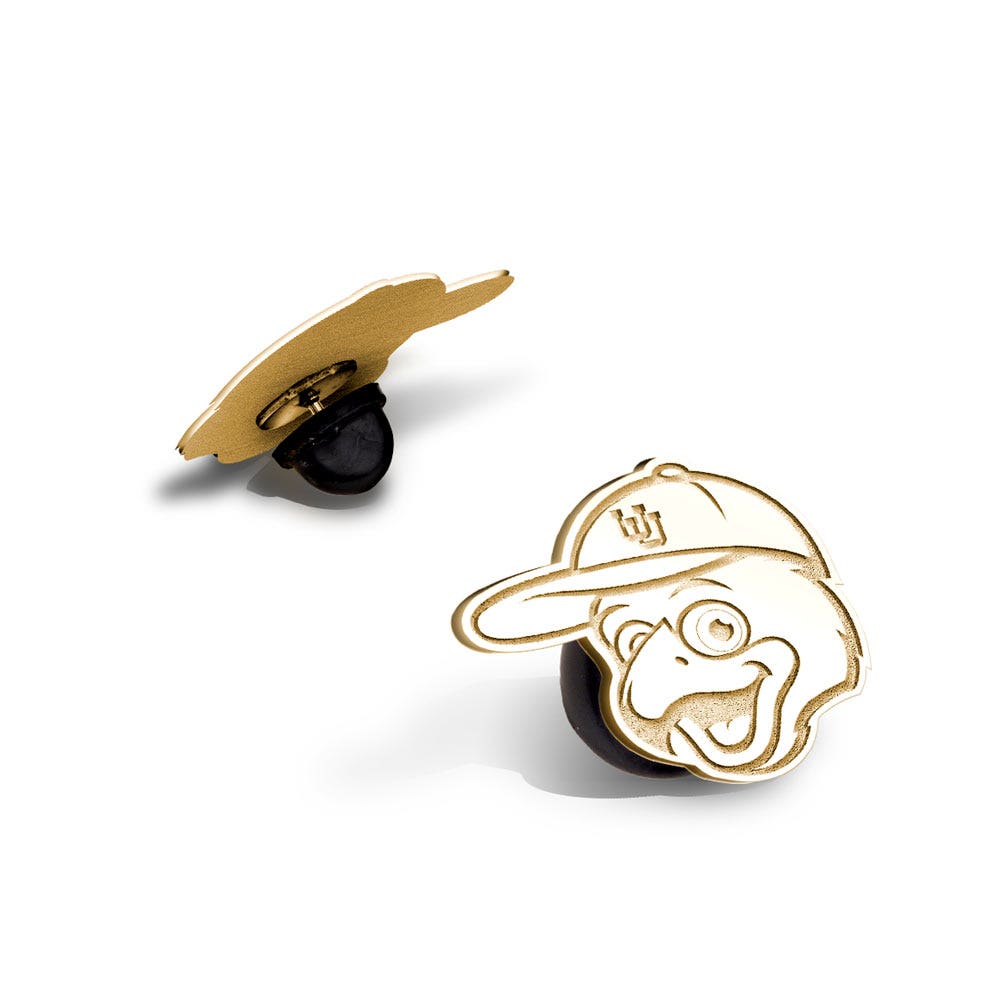 Swoop the Red-Tailed Hawk Pin