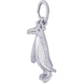 Bird Penguin