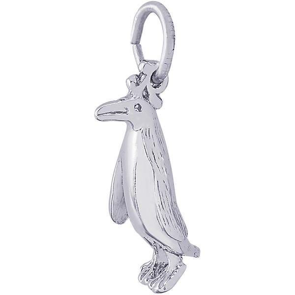 Bird Penguin