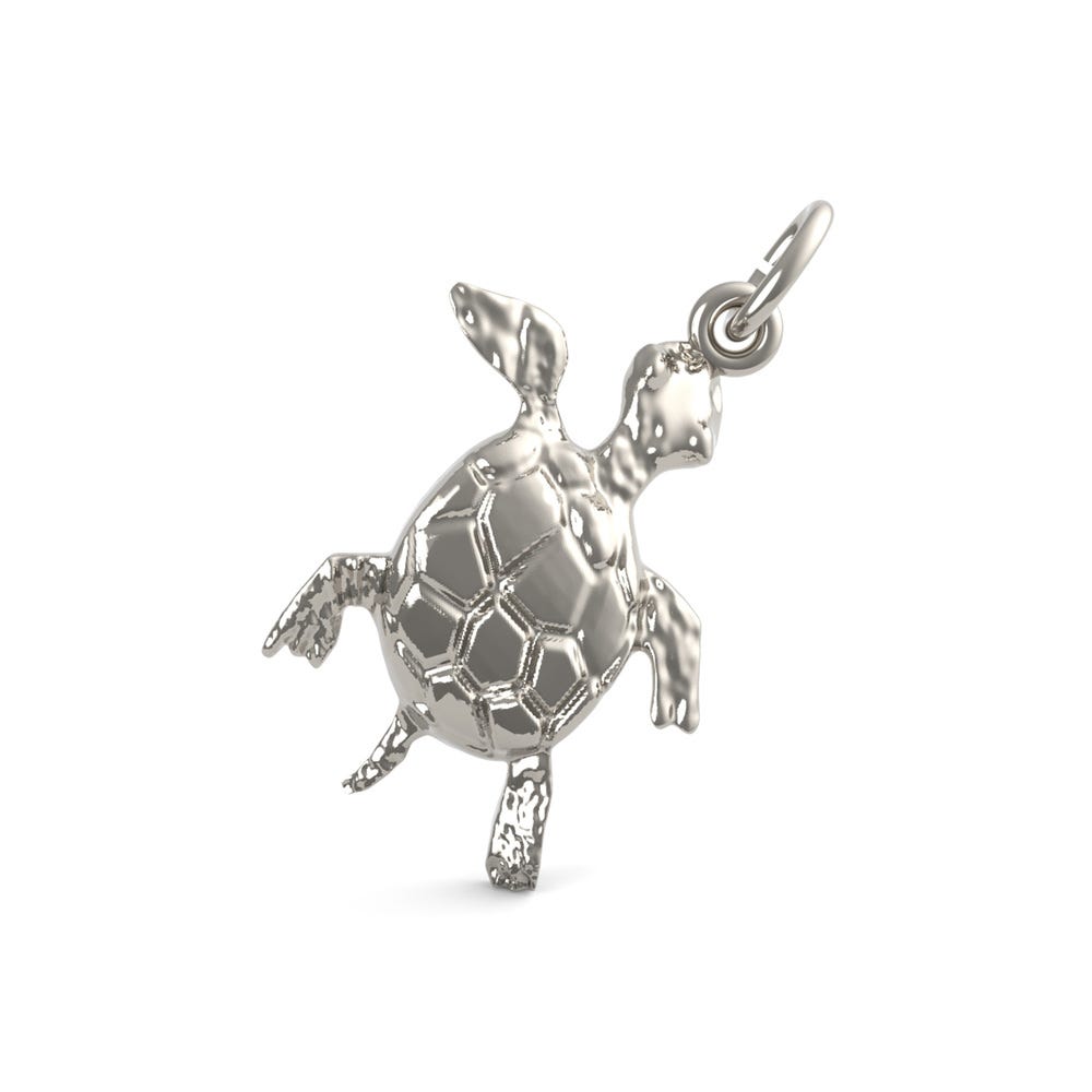 Turtle with Stones Charm