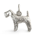 Kerry Blue Terrier Dog