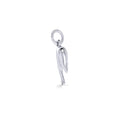 Diving Dolphin Charm