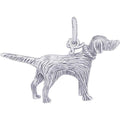 Dog Setter