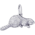 Beaver