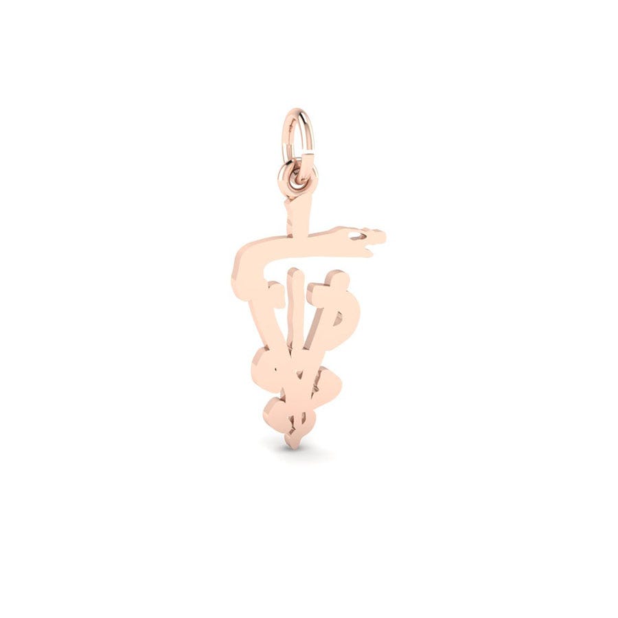 7934-Silver-Veterinarian