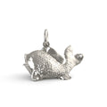 Fish Charm